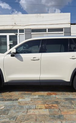 WhatsApp Image 2026-01-12 at 8.33.22 AM